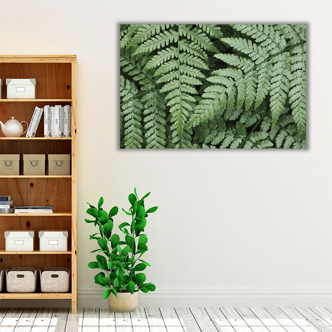 Lady Ferns II - Canvas Print Wall Art