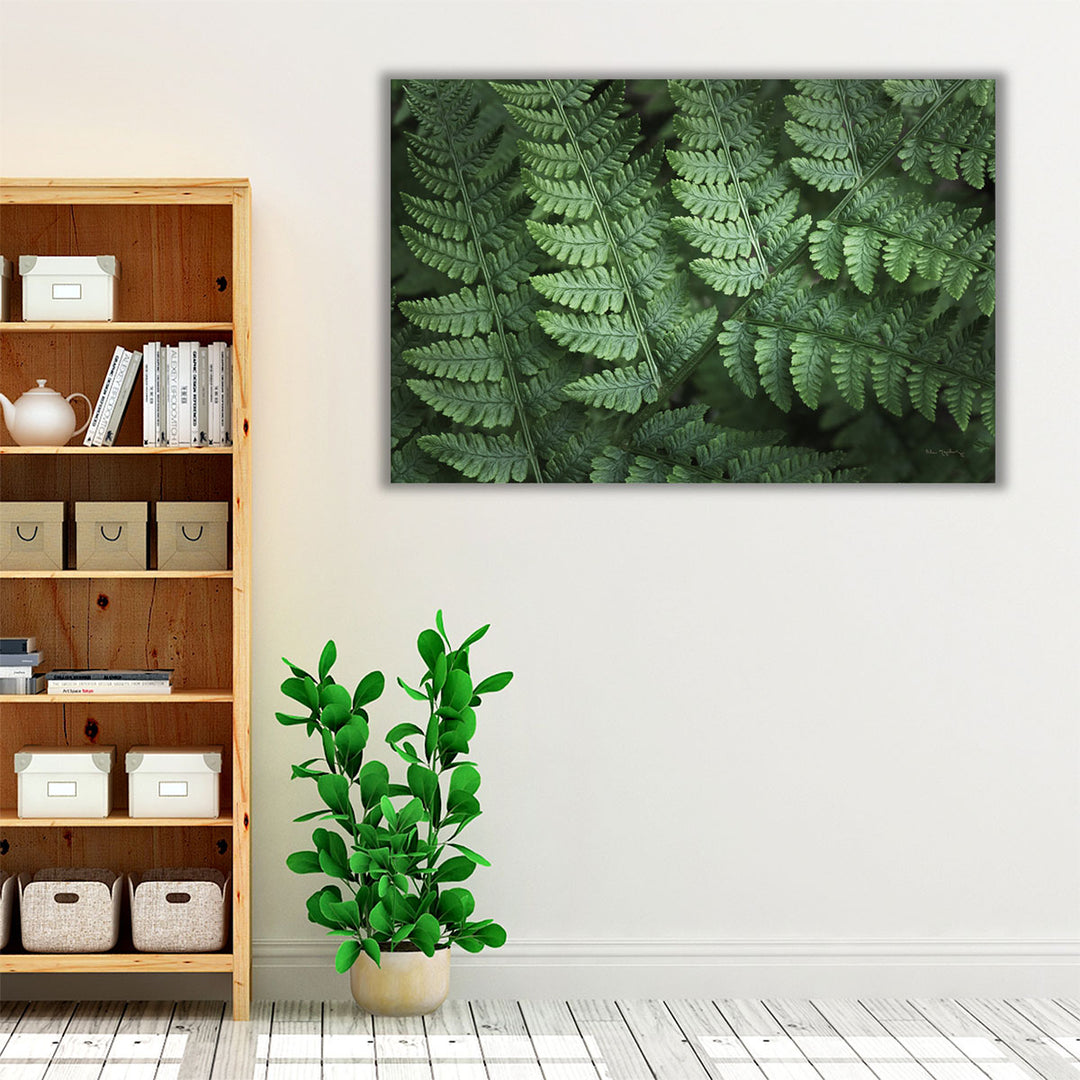 Lady Ferns IV - Canvas Print Wall Art