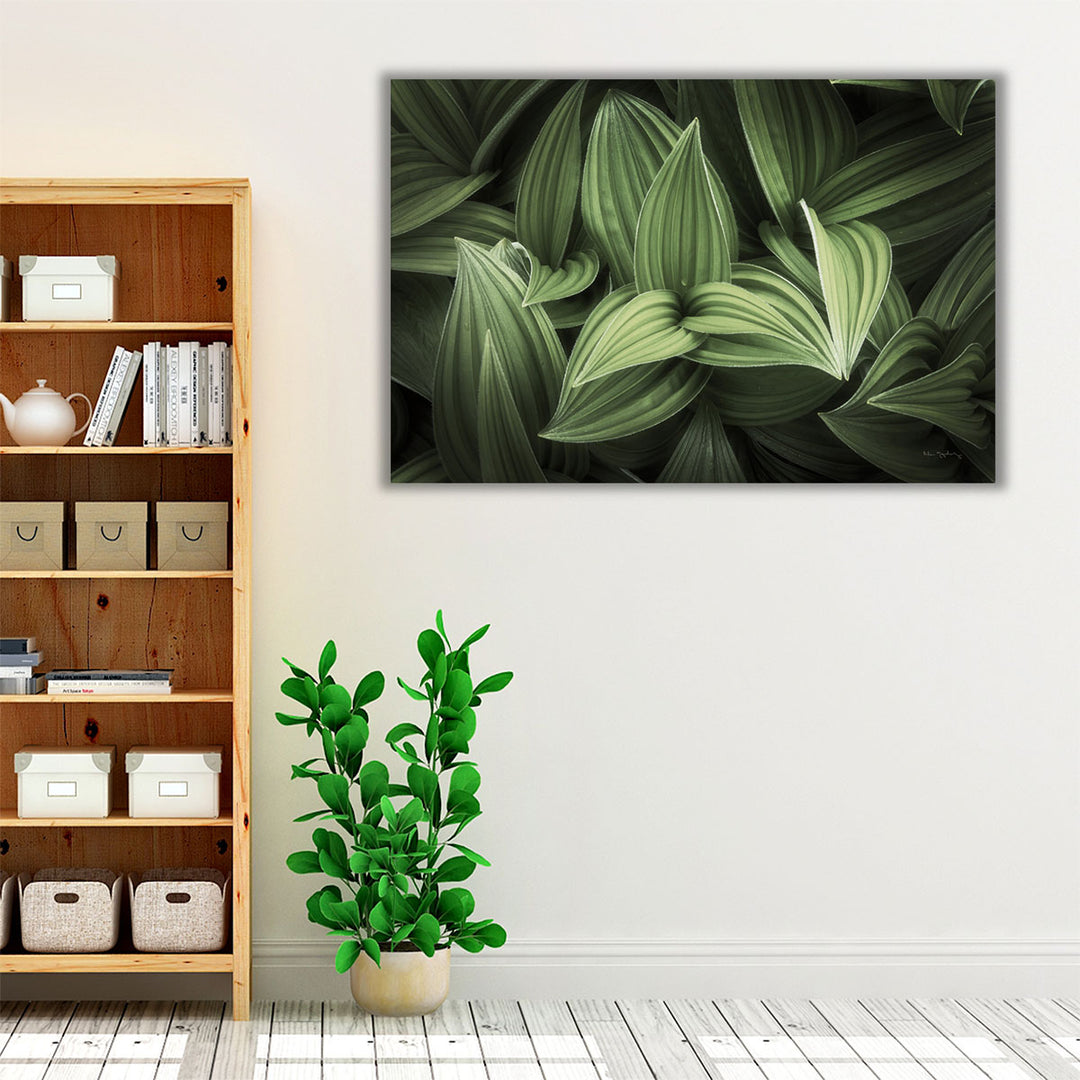 Corn Lily I - Canvas Print Wall Art