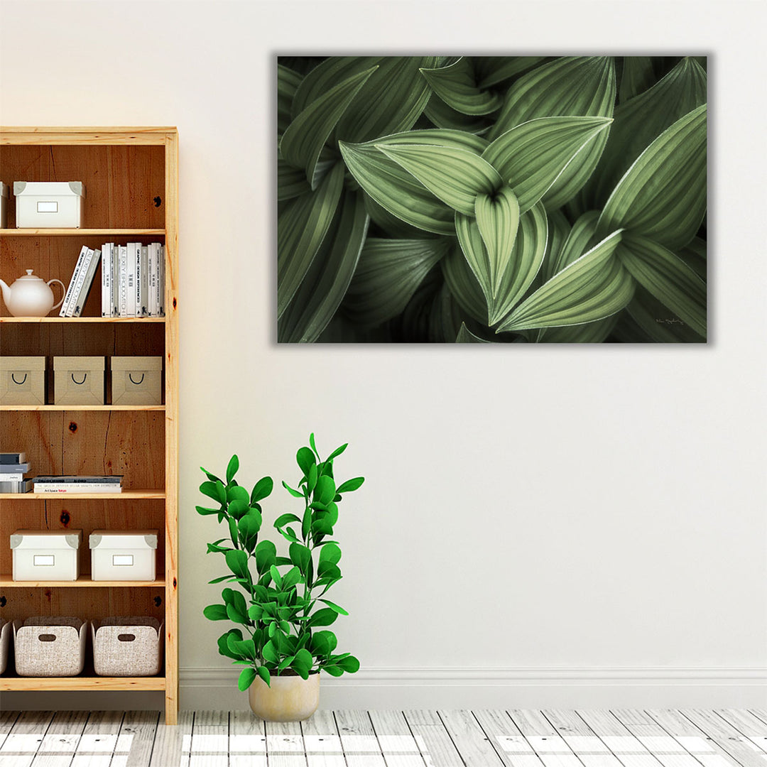 Corn Lily II - Canvas Print Wall Art