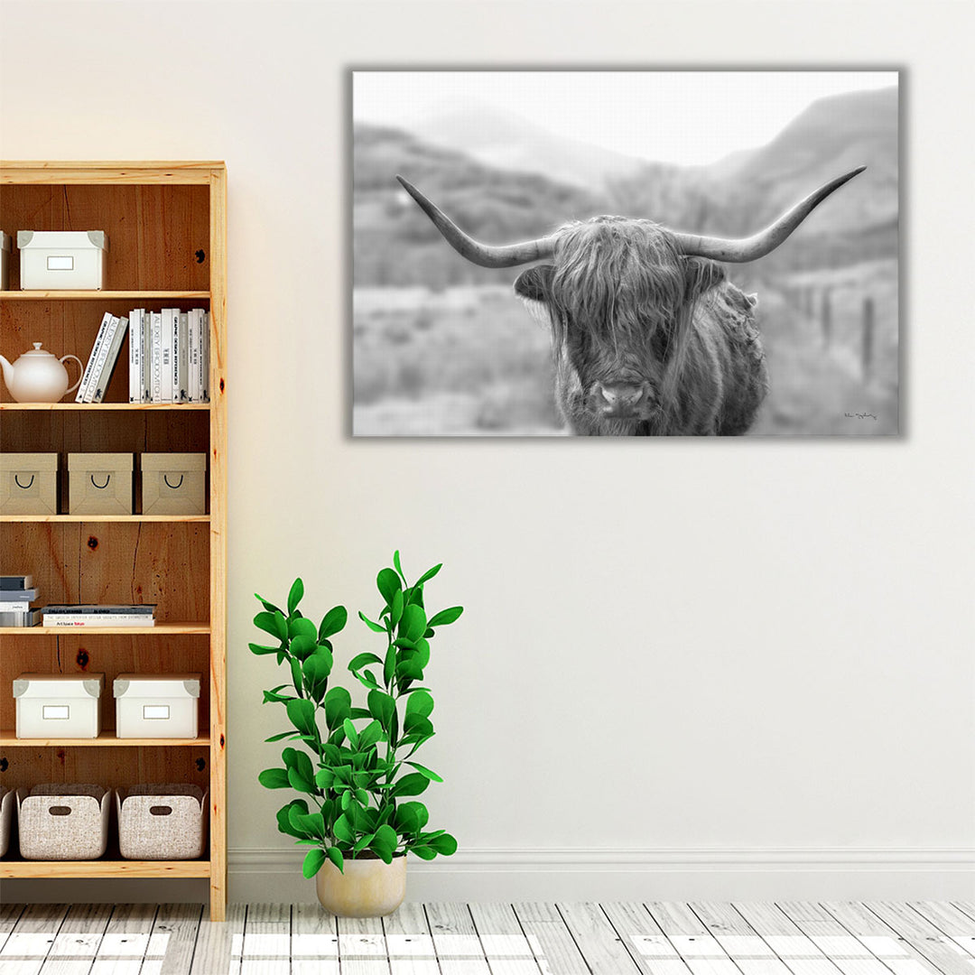 Scottish Highland Cattle III Black and White - Canvas Print Wall Art