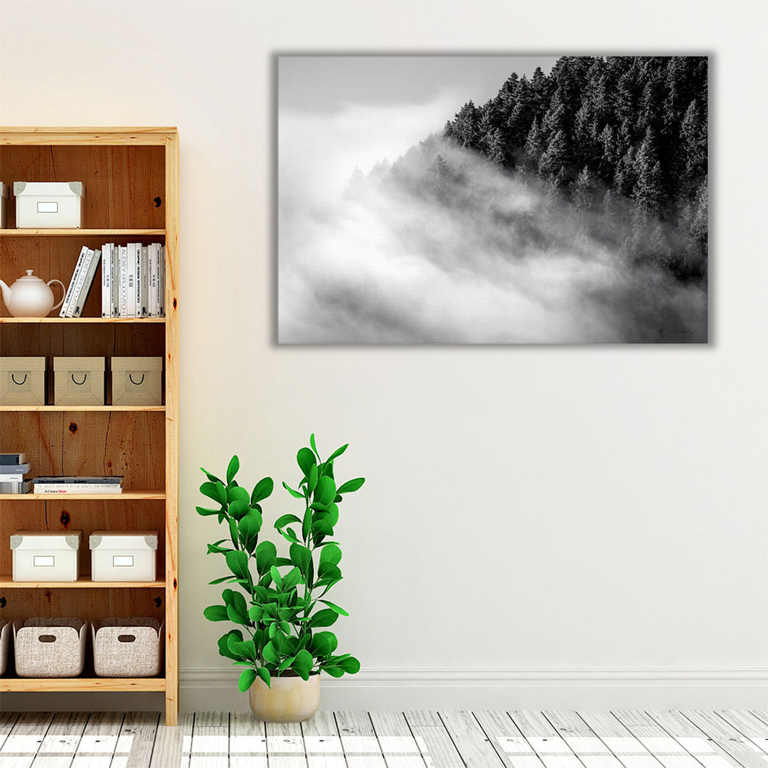 Fog and Forest I Black and White - Canvas Print Wall Art