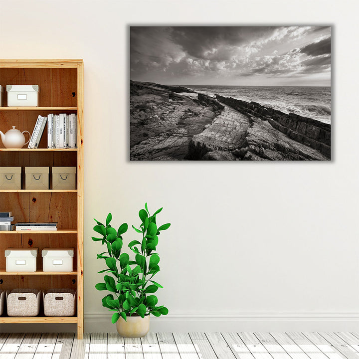 Avalon Peninsula - Canvas Print Wall Art