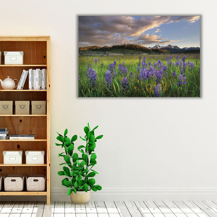 Camas Meadows - Canvas Print Wall Art