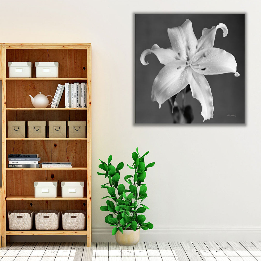 Orient Lily I - Canvas Print Wall Art