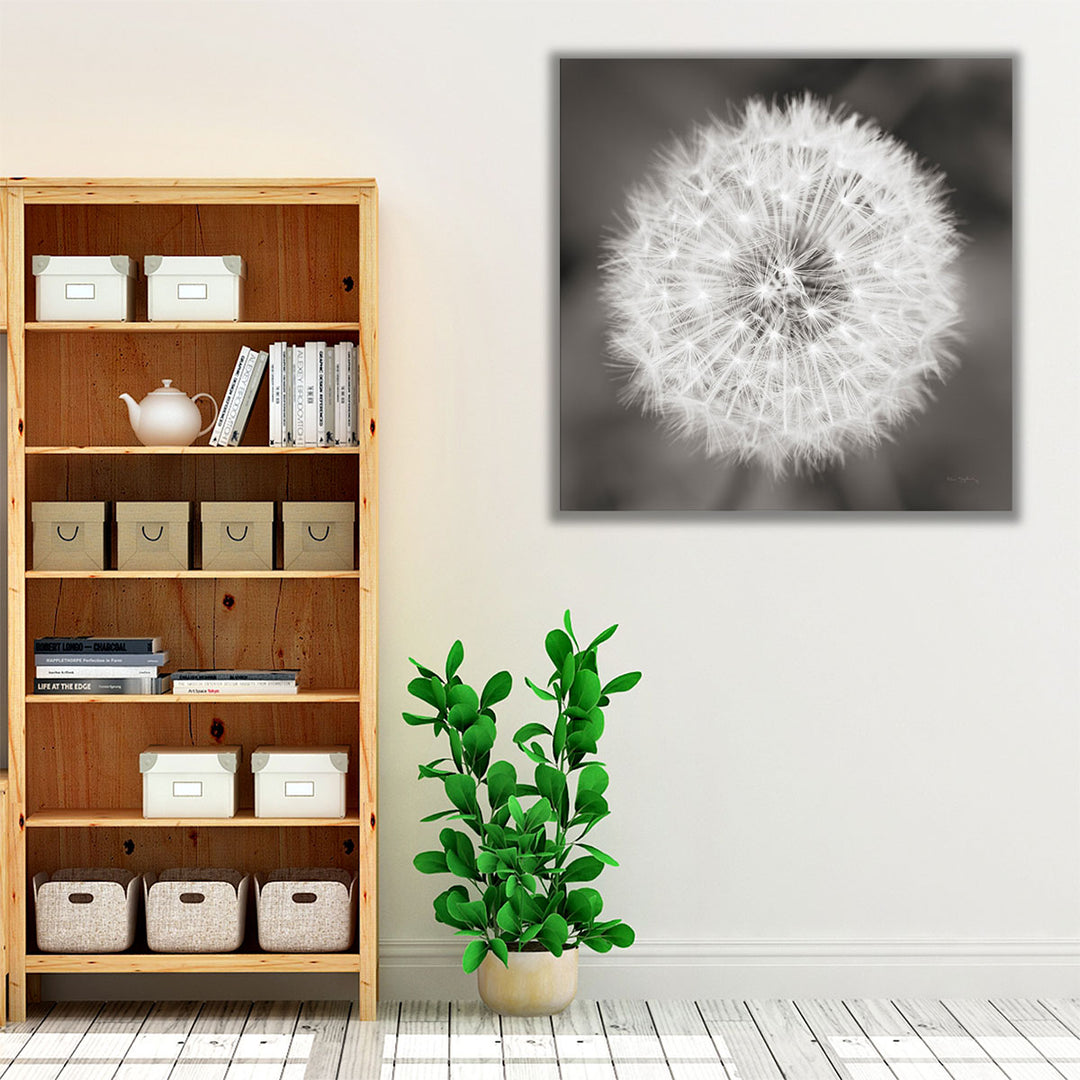 Dandelion Seedhead - Canvas Print Wall Art