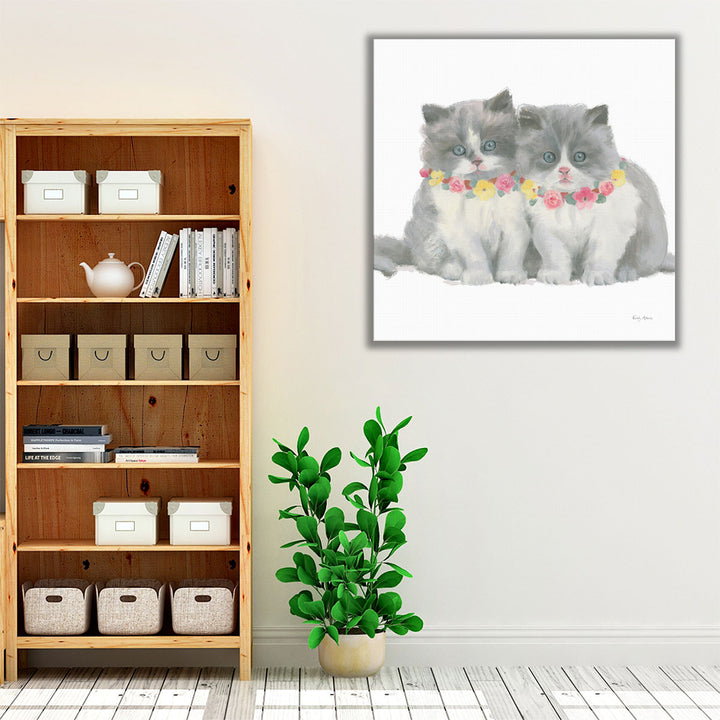 Cutie Kitties VIII - Canvas Print Wall Art