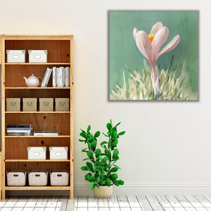 Soft Crocus - Canvas Print Wall Art