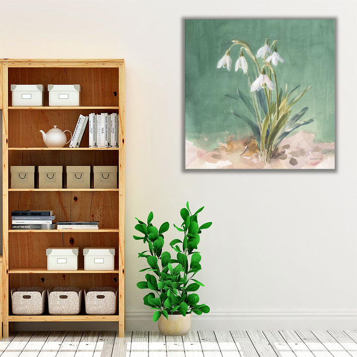 Soft Dewdrops - Canvas Print Wall Art