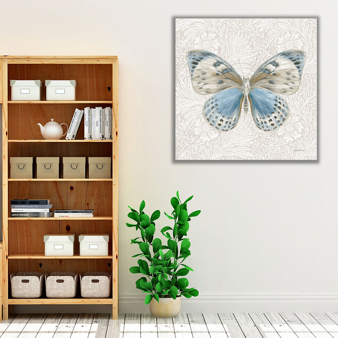 Beetles and Butterflies IV - Canvas Print Wall Art