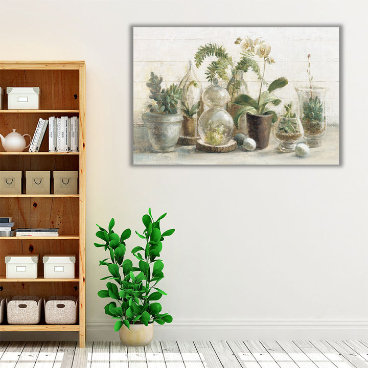 Greenhouse Orchids on Shiplap - Canvas Print Wall Art