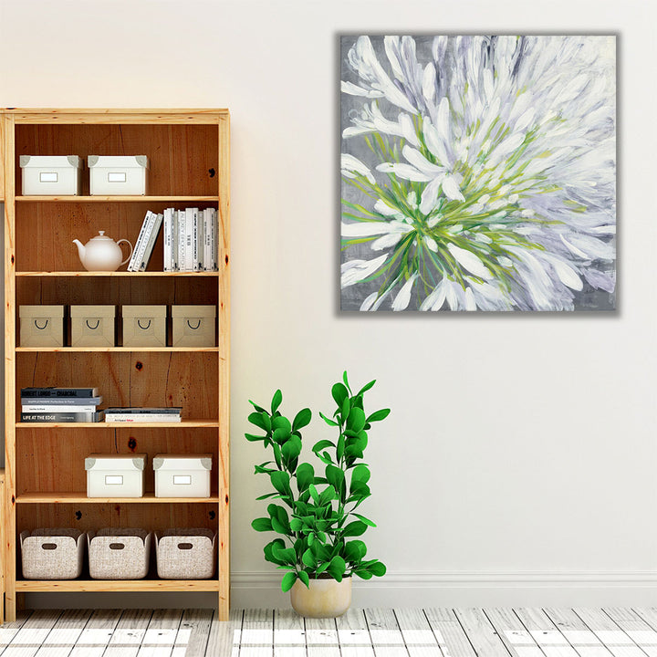 Cleome Splash II - Canvas Print Wall Art