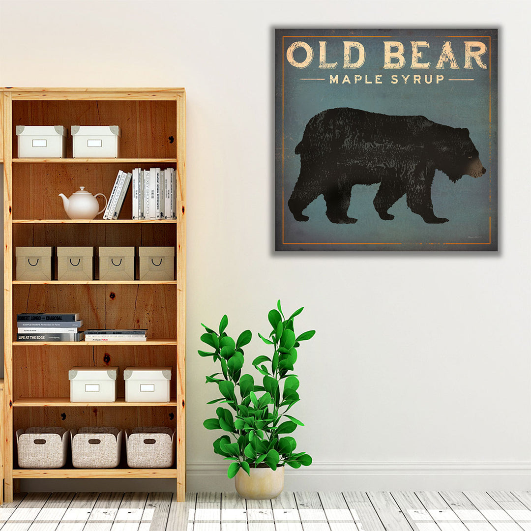 Old Bear - Canvas Print Wall Art