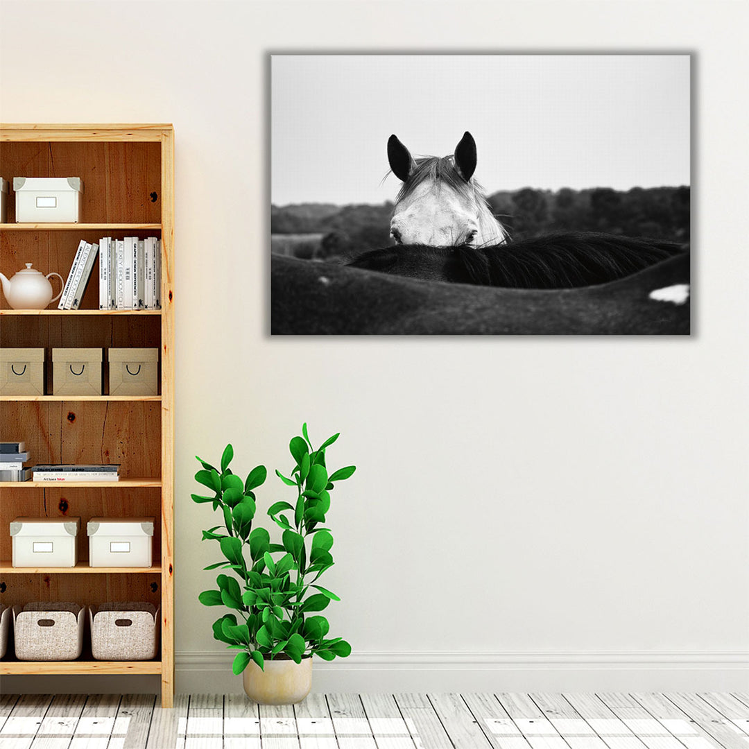 Flirt - Canvas Print Wall Art