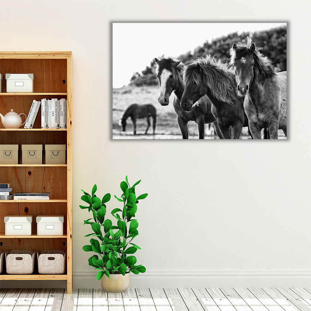 Horses Three - Canvas Print Wall Art