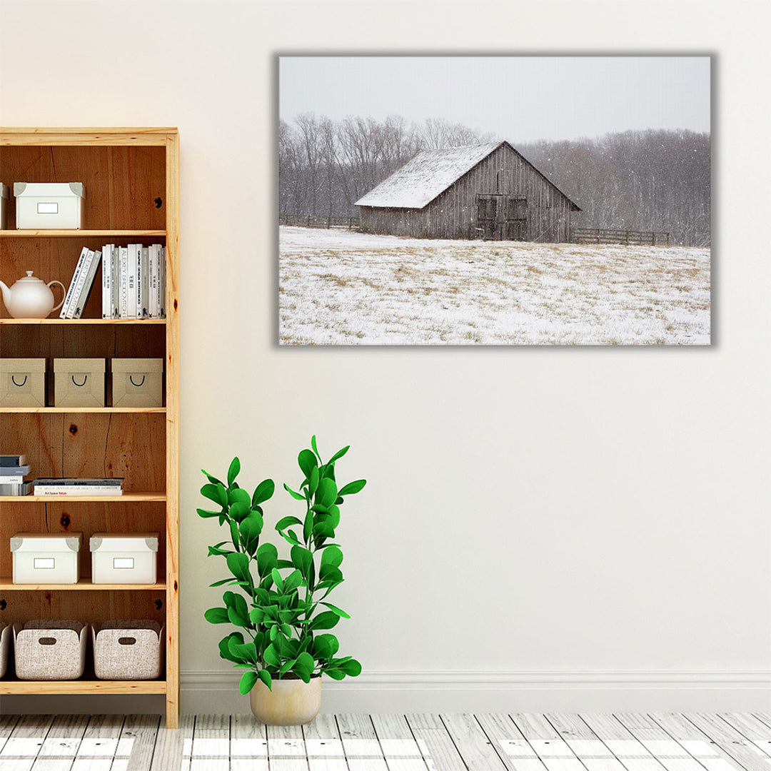 First Snow - Canvas Print Wall Art