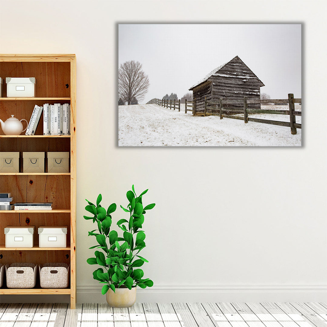 Coming to the Barn - Canvas Print Wall Art