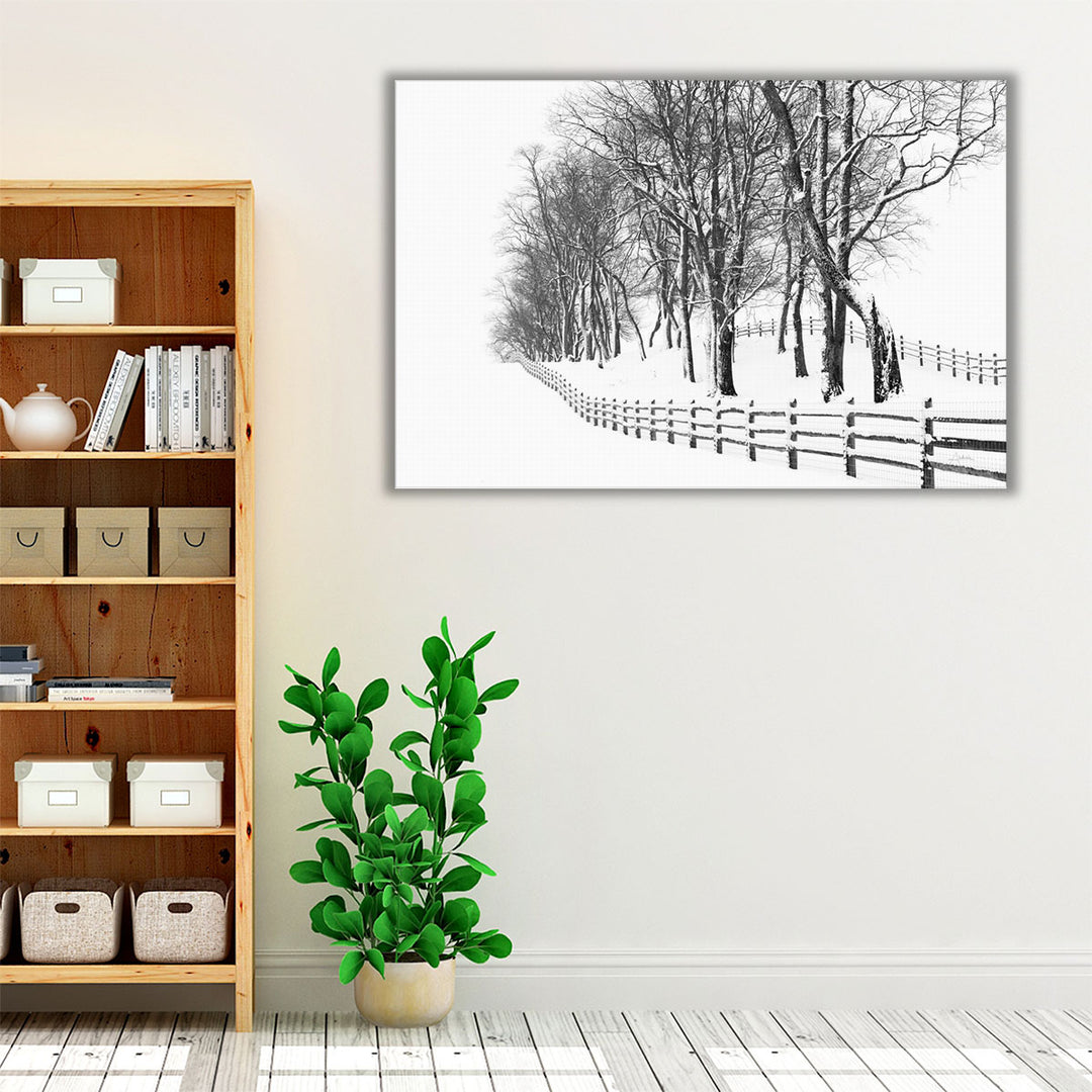 Winter Wonderland - Canvas Print Wall Art