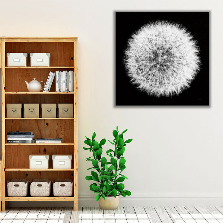 Dandelion on Black I - Canvas Print Wall Art