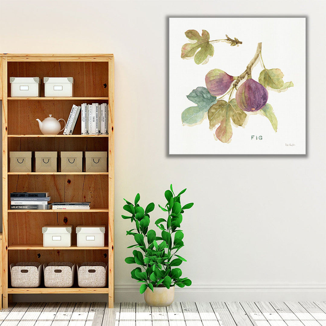 Orchard Bloom III - Canvas Print Wall Art