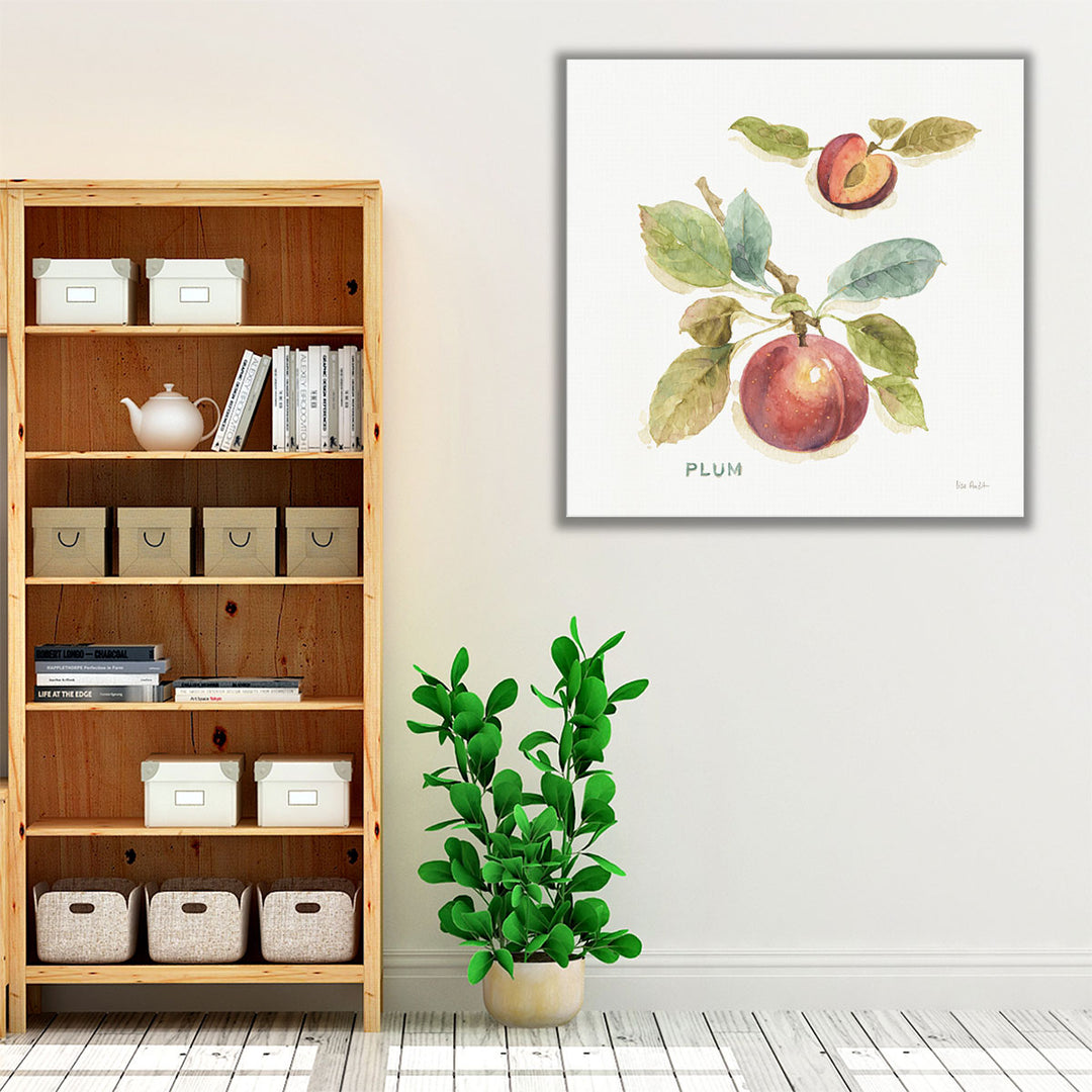 Orchard Bloom IV - Canvas Print Wall Art