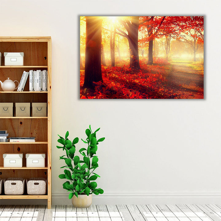 Autumn Mist Grove - Canvas Print Wall Art