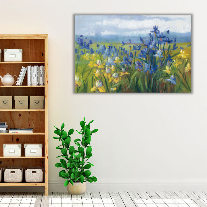 Blue and Yellow Flower Field - Canvas Print Wall Art