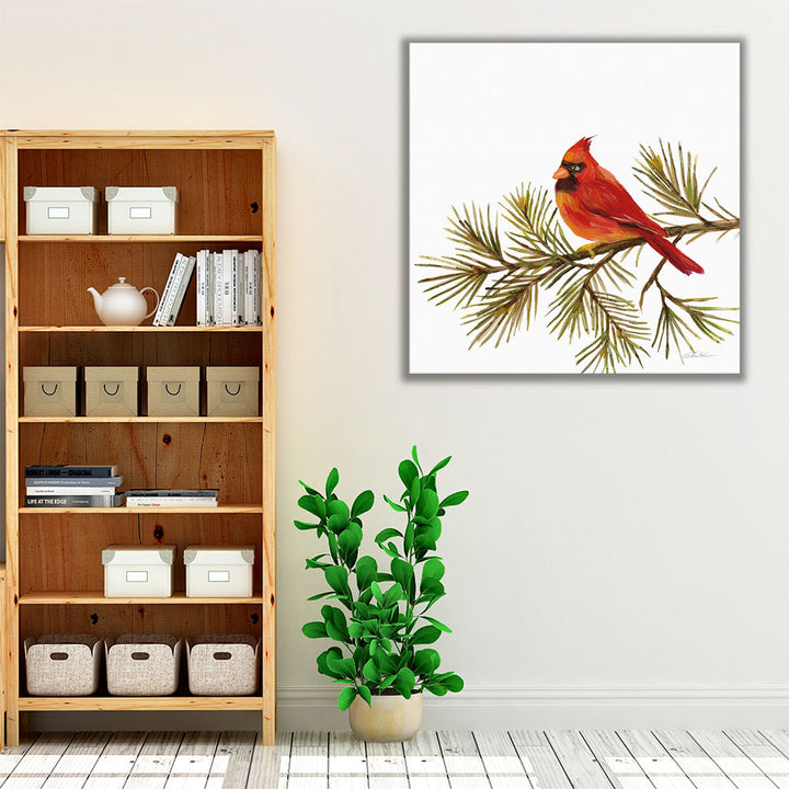 Cardinal Christmas V - Canvas Print Wall Art