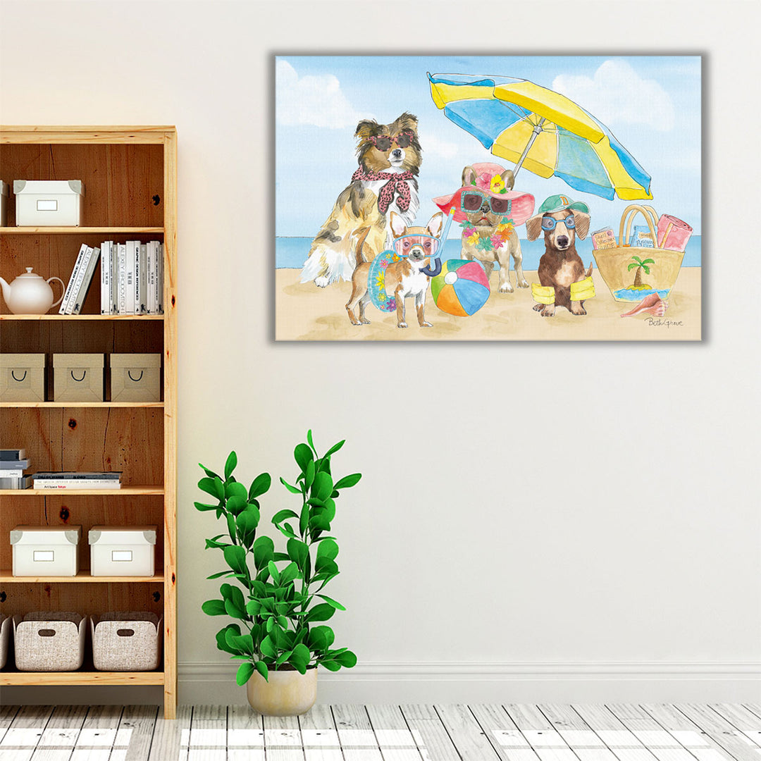 Summer Paws I - Canvas Print Wall Art