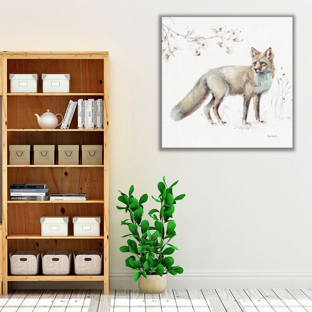 A Woodland Walk XI - Canvas Print Wall Art