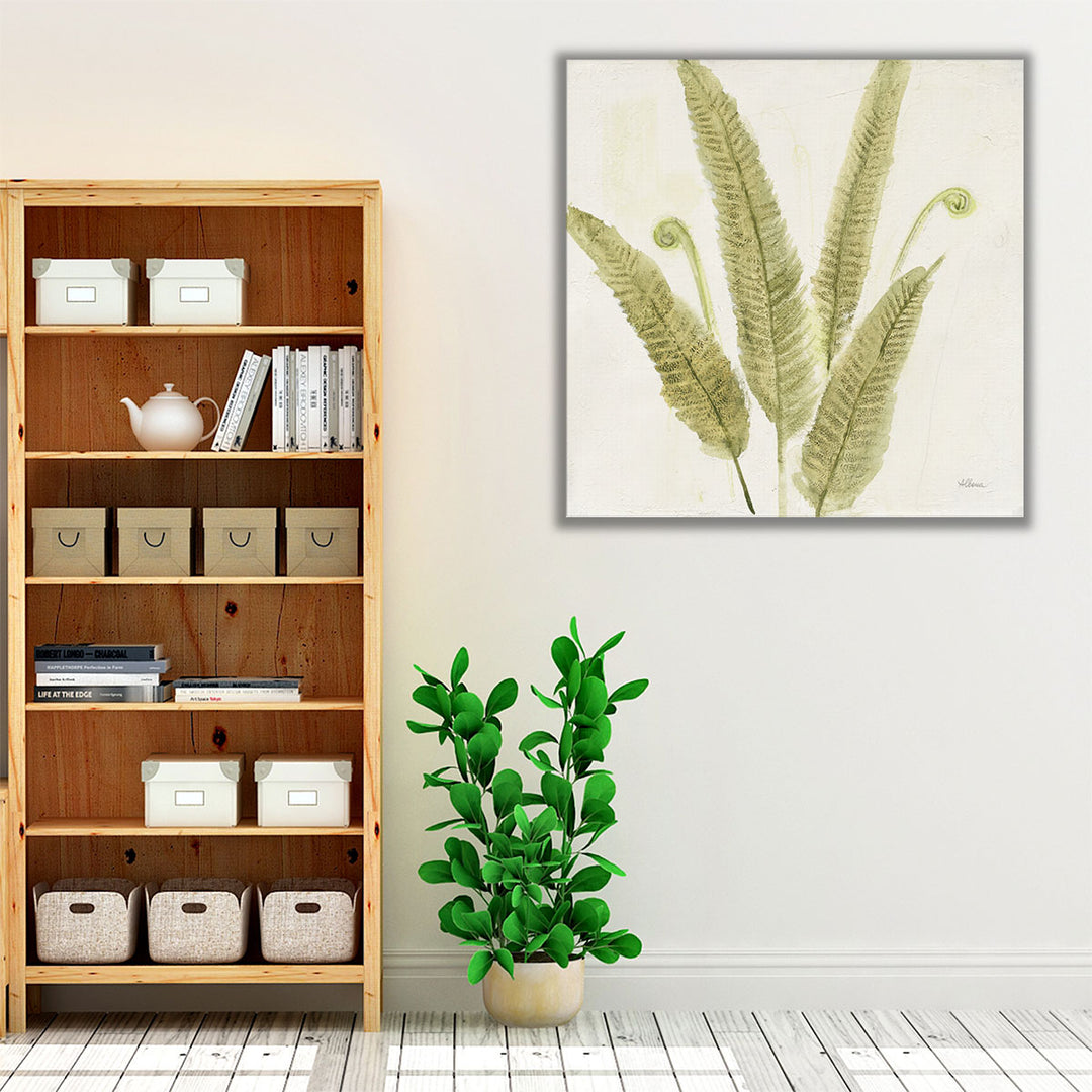 Forest Ferns II - Canvas Print Wall Art