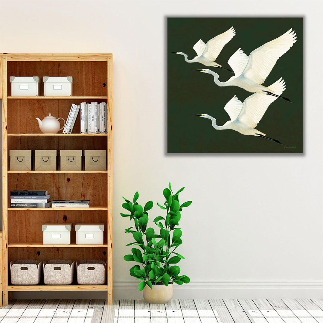 Egrets Alighting II - Canvas Print Wall Art