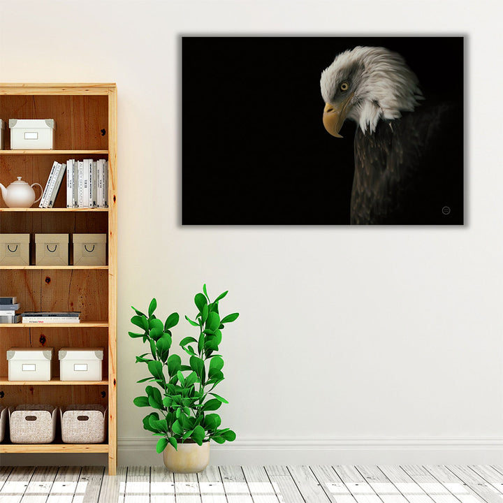 Eagle Bow Black and White - Canvas Print Wall Art