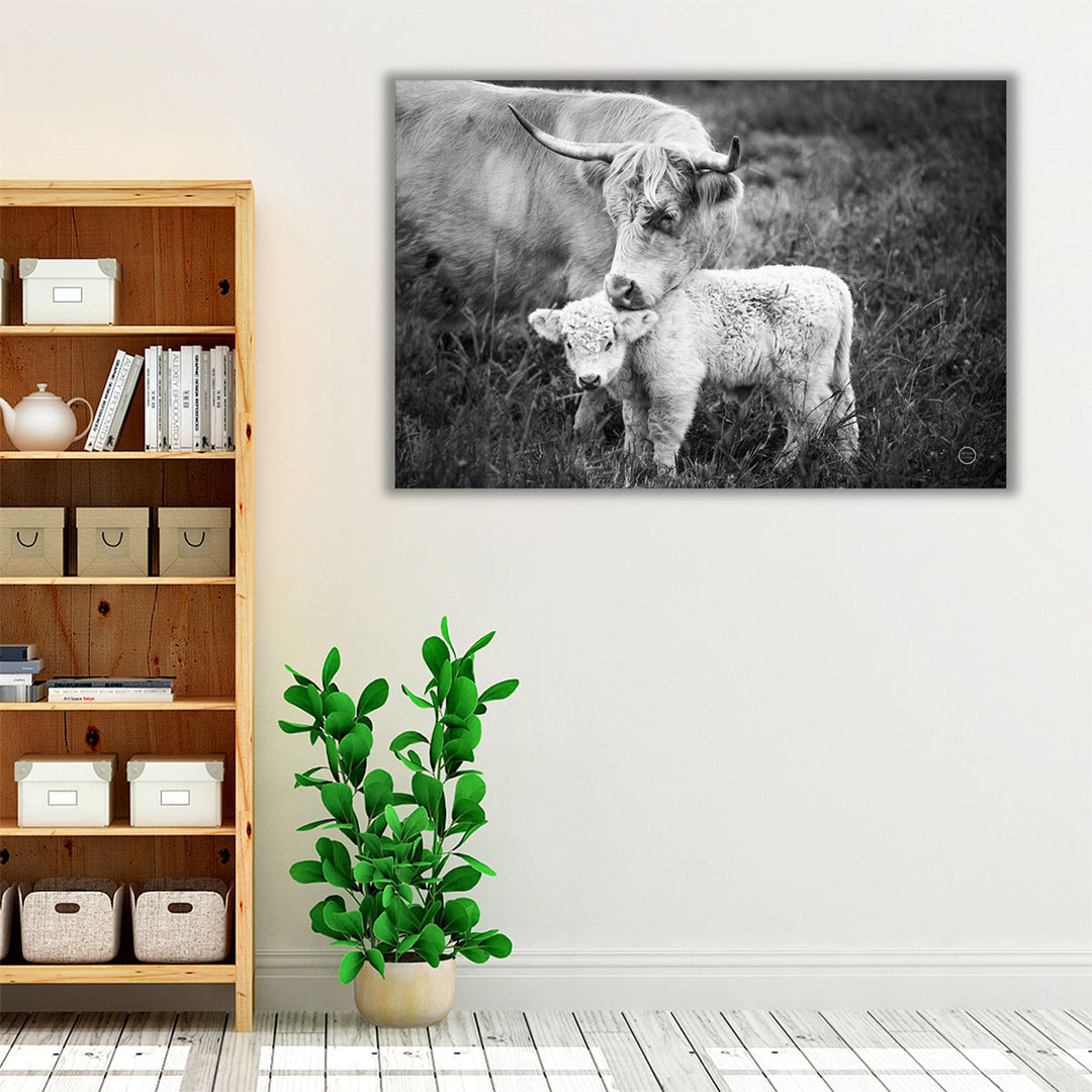 Cow Care Black and White - Canvas Print Wall Art