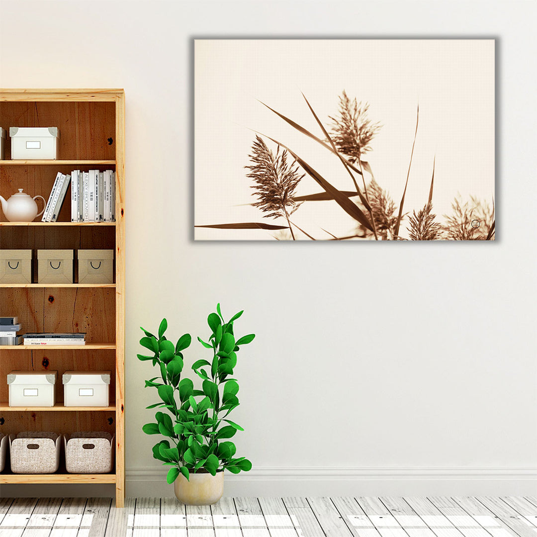 Country Grasses I - Canvas Print Wall Art