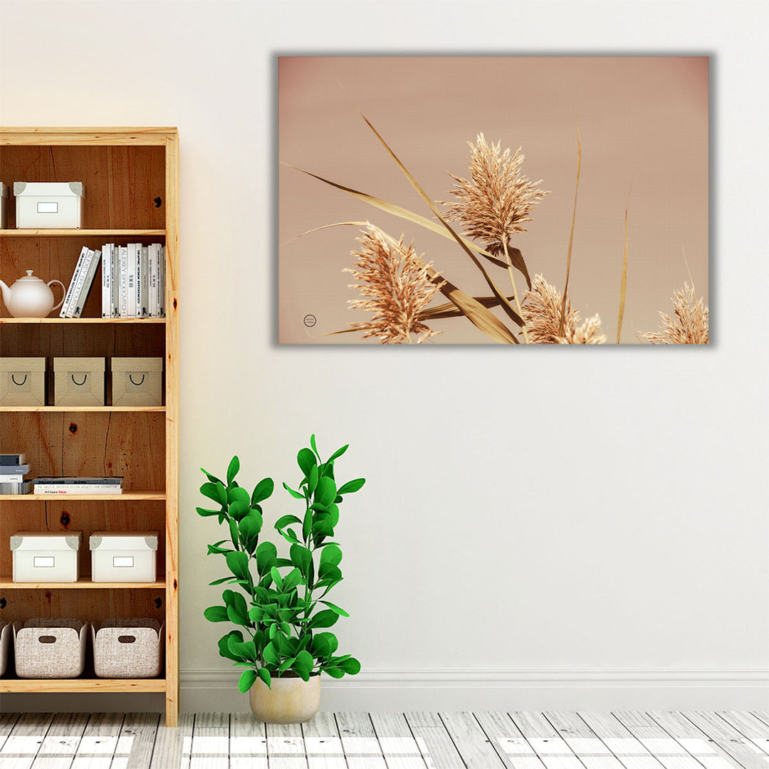 Noon Grasses III - Canvas Print Wall Art