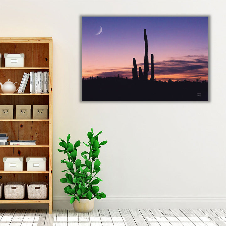 Desert Moons - Canvas Print Wall Art