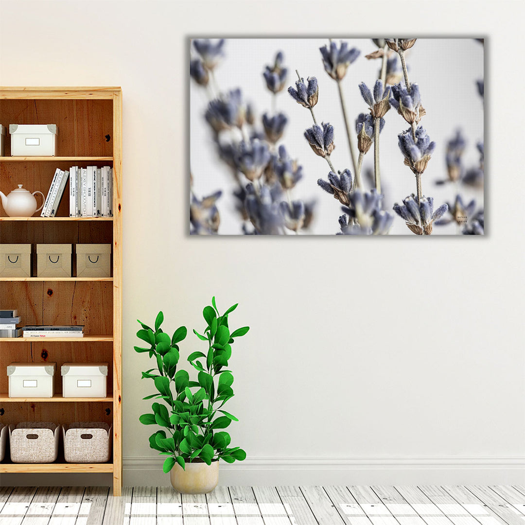 Lavender Bouquet - Canvas Print Wall Art