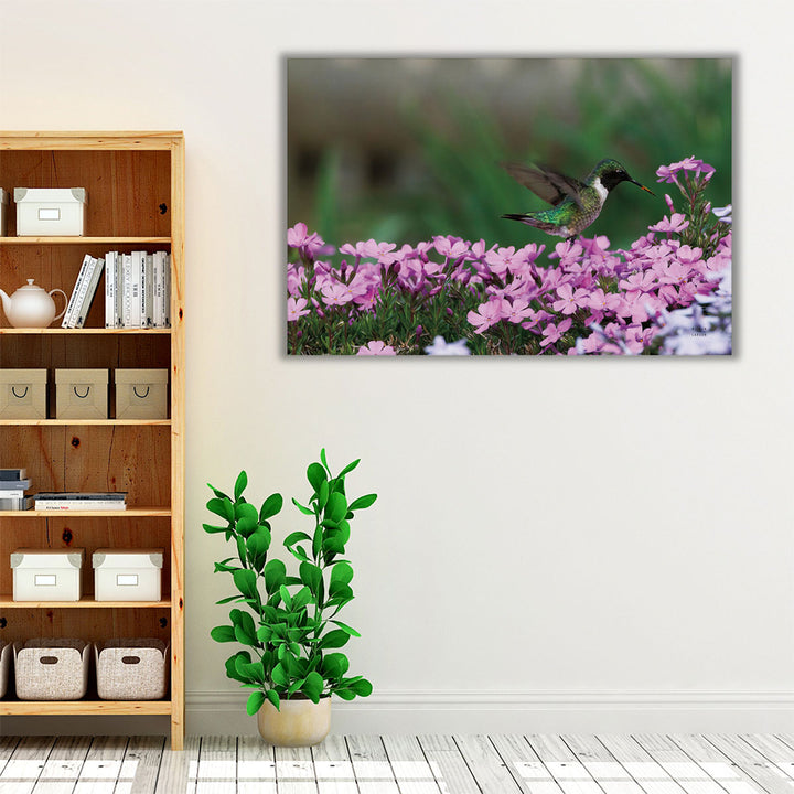 Spring Hummingbird - Canvas Print Wall Art