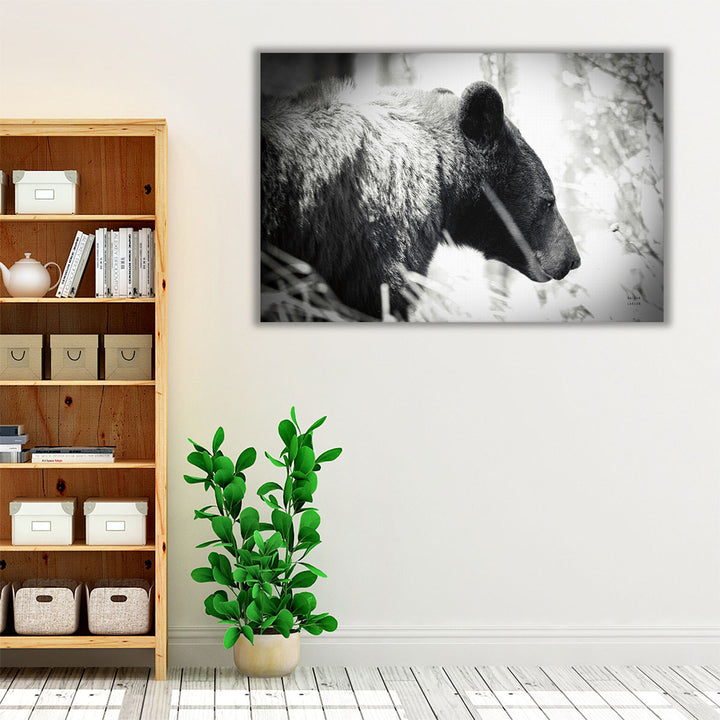 Bear Emerging Black and White - Canvas Print Wall Art