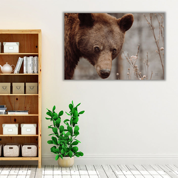 Bear Profile II - Canvas Print Wall Art