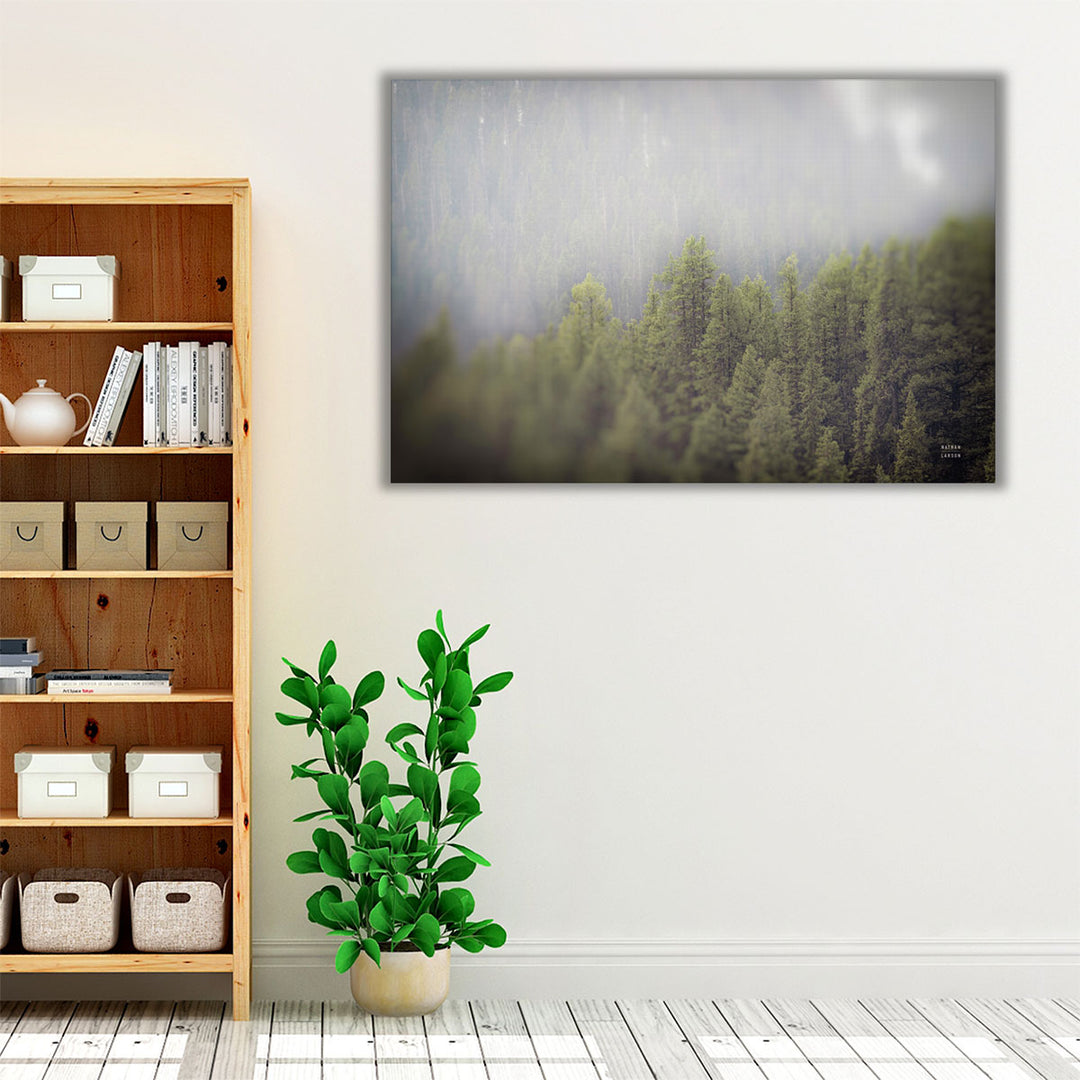 Northern Forests - Canvas Print Wall Art