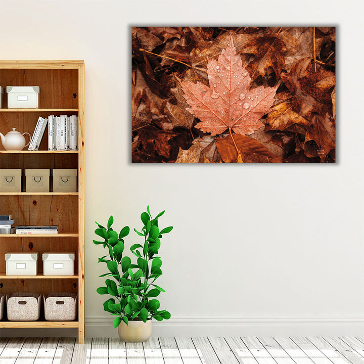 Fall Rains I - Canvas Print Wall Art