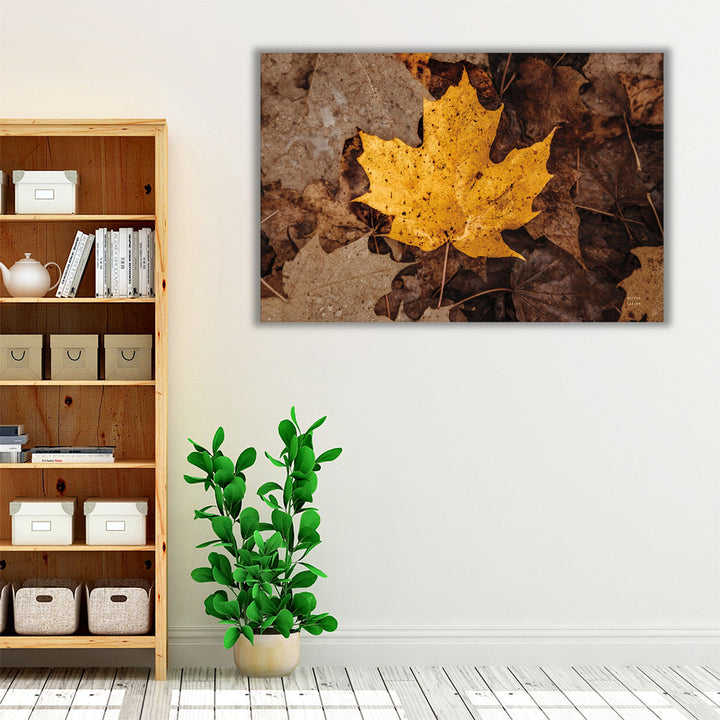 Fall Rains II - Canvas Print Wall Art