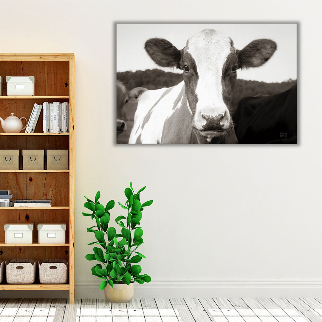 At the Barn Black and White - Canvas Print Wall Art