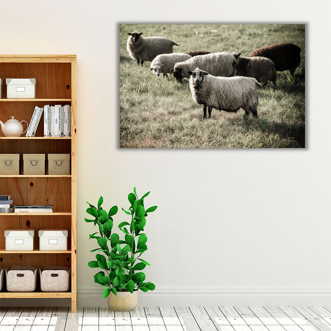 Pastures - Canvas Print Wall Art