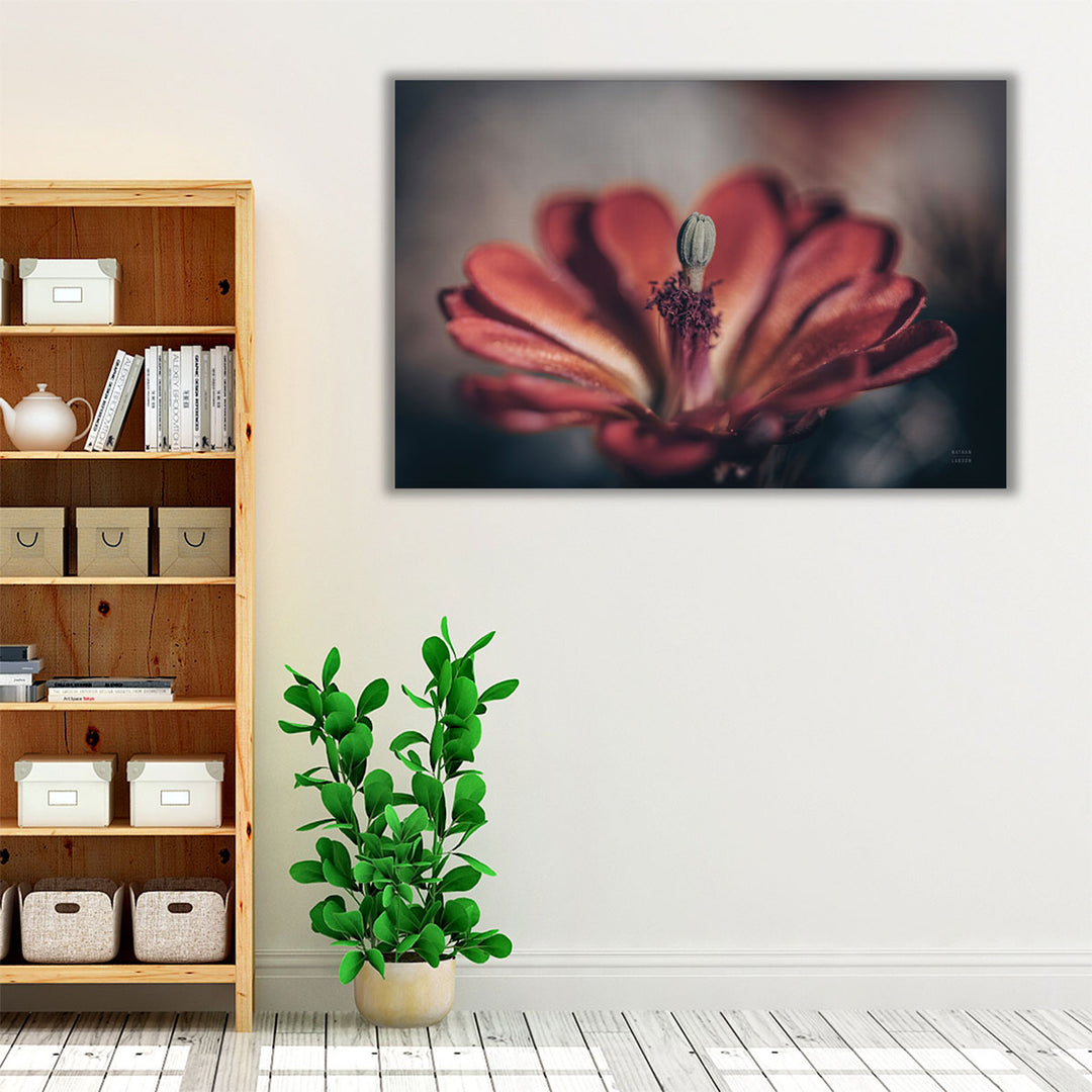 Elevation Bloom - Canvas Print Wall Art