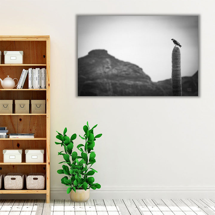 Desert Hunter Black and White - Canvas Print Wall Art