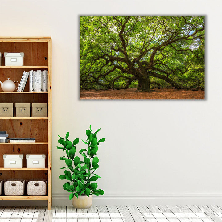 Angle Oak Tree in Johns Island, South Carolina - Canvas Print Wall Art