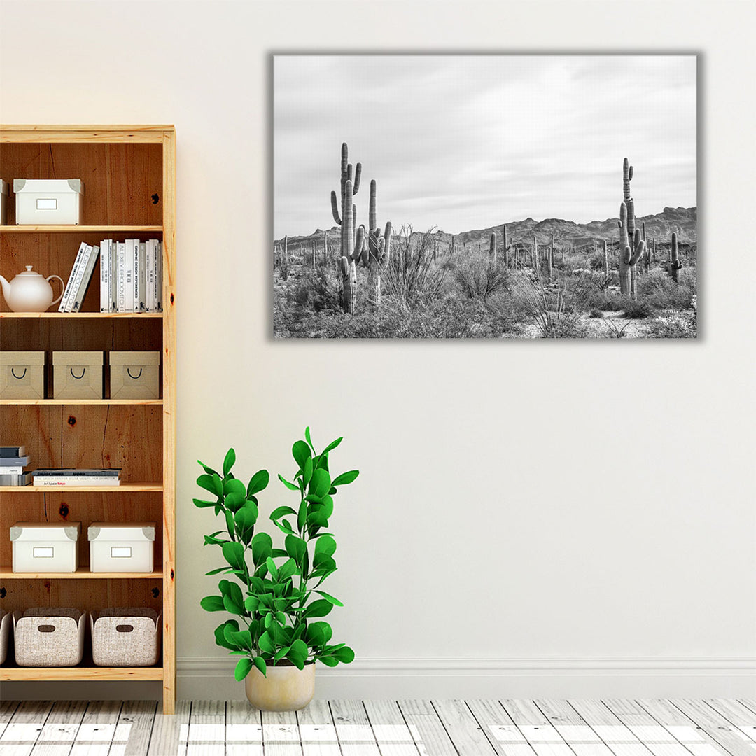 Sonoran Wonderland Black and White - Canvas Print Wall Art